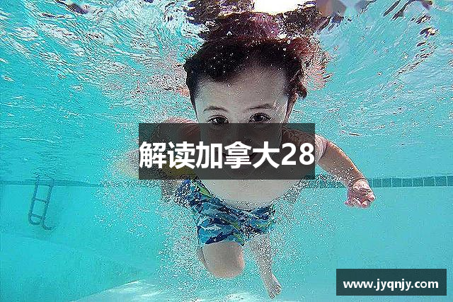 解读加拿大28